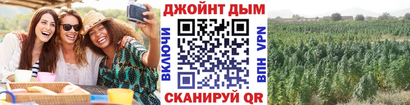Бошки марихуана White Widow  ОМГ ОМГ ссылка  Камбарка 